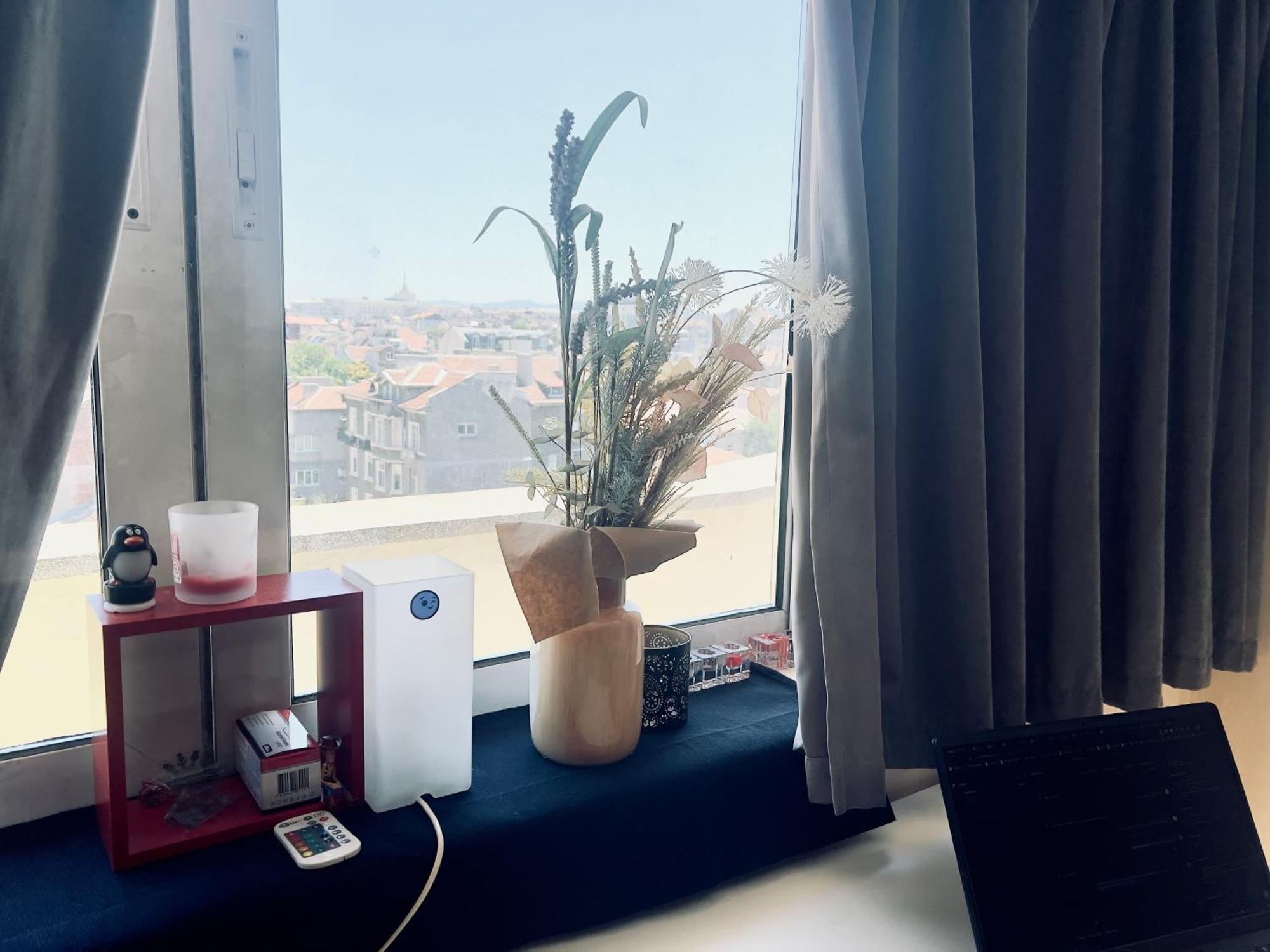 Cosy Rooftop In Center ソフィア エクステリア 写真